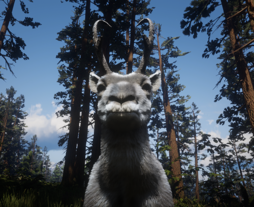 Screenshot 175 1